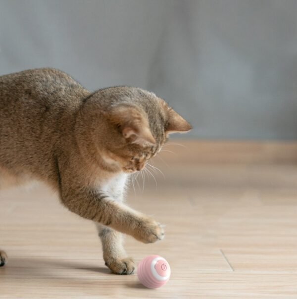 Automatic Moving Bouncing Rolling Ball Smart Cat Toy Ball Self-Moving Kitten Toy For Indoor Cat Kitten - Image 2